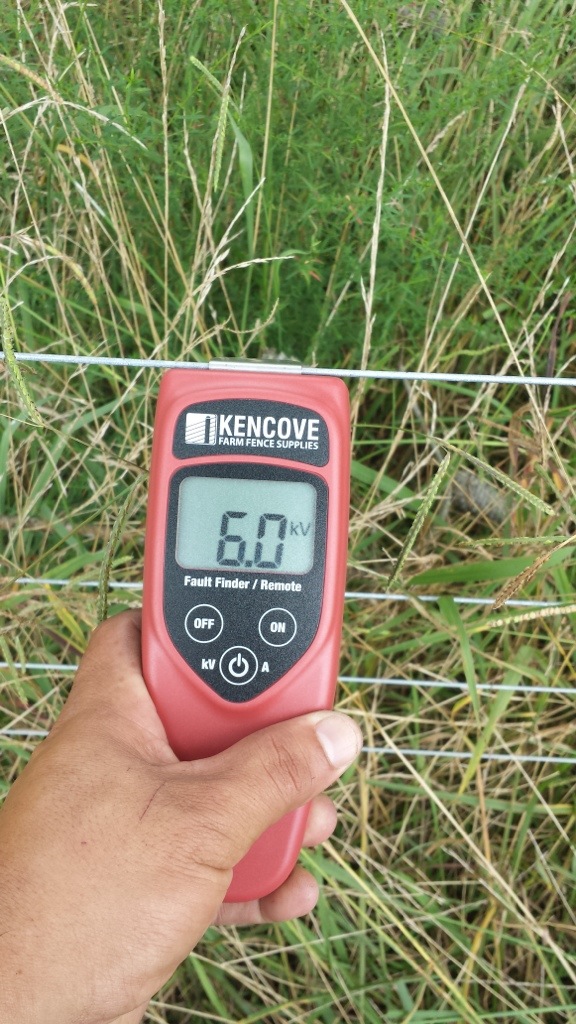 Kencove electric fence tester