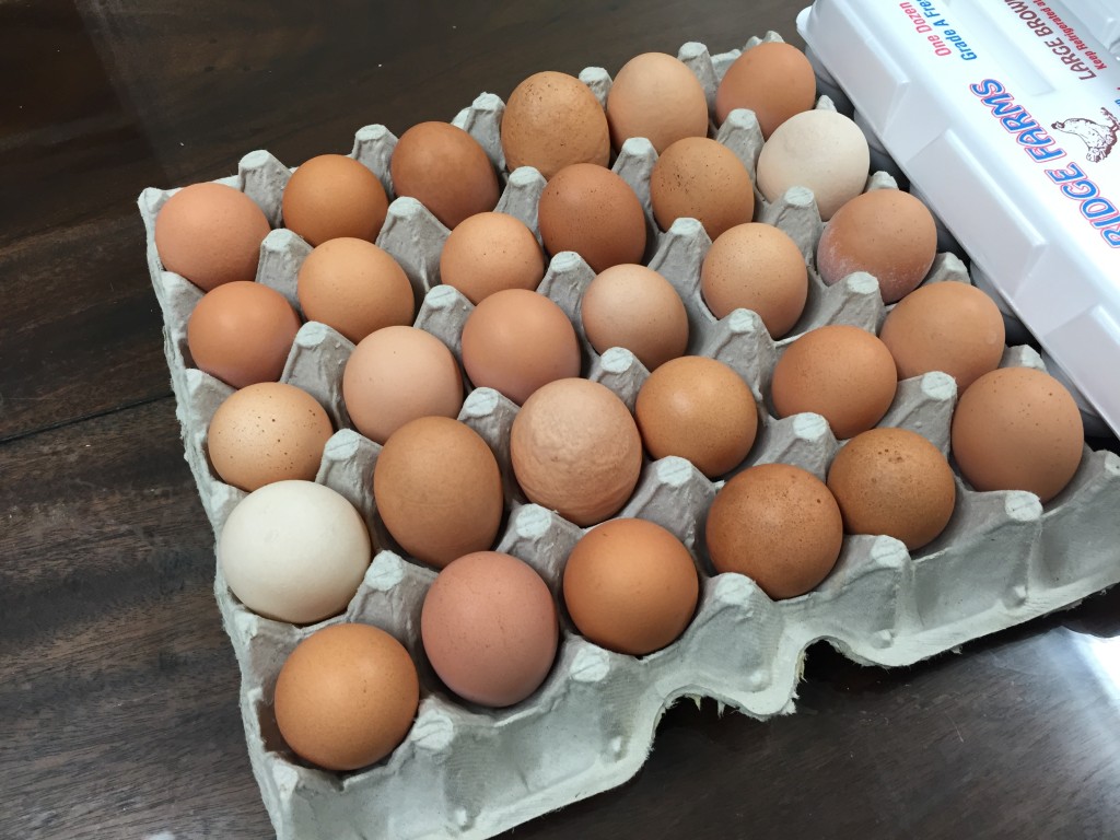 Eggs - Ninja Cow Farm LLC