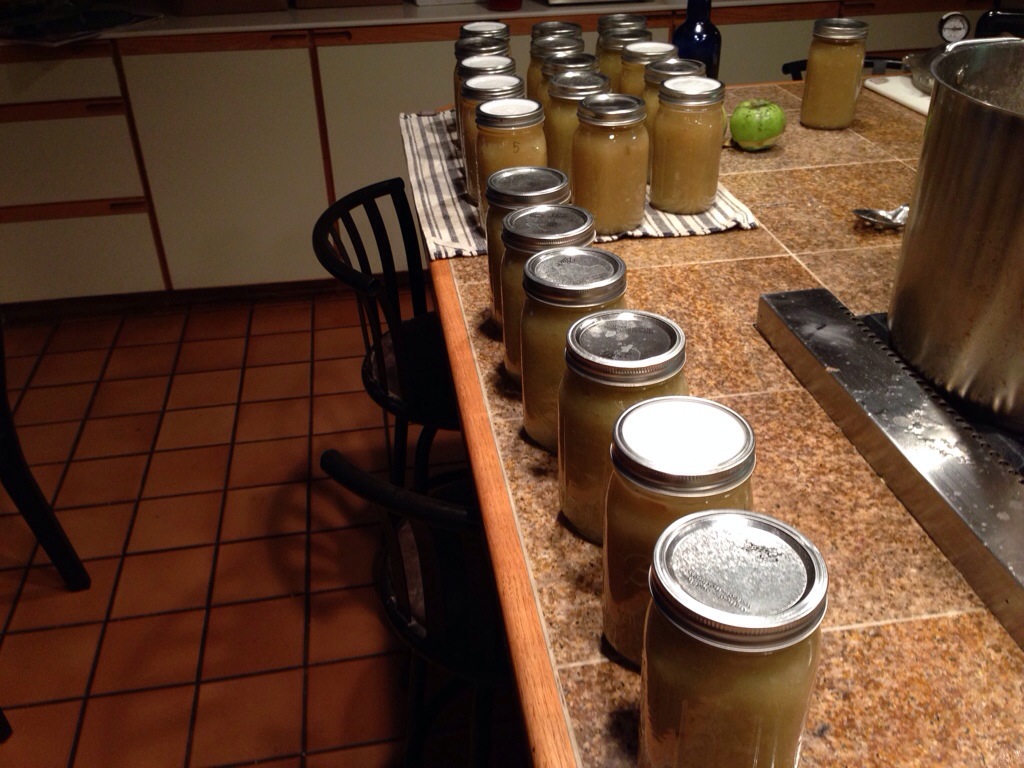 First few batches of canned apple sauce