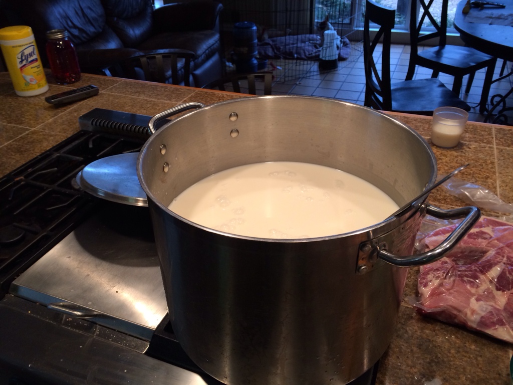 5 gallons of raw milk, making cheese
