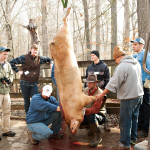 Old time hog killing class