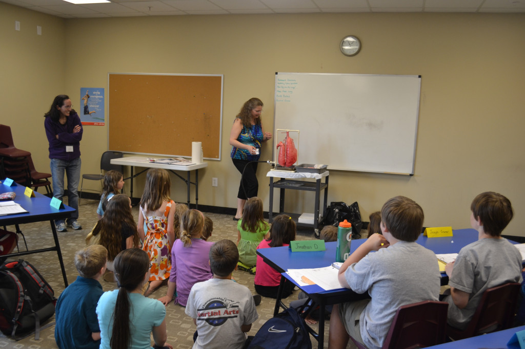 Using pig lungs to demonstrate how human lungs work