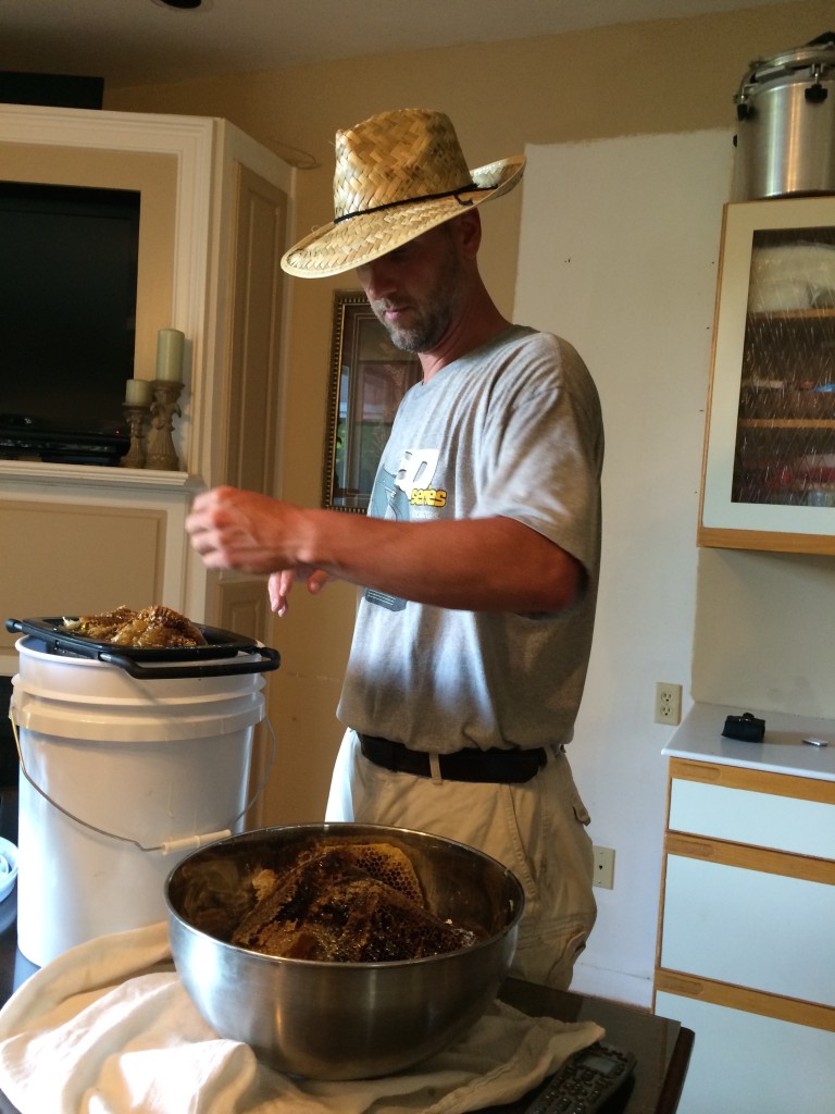 Honey harvest at Ninja Cow Farm