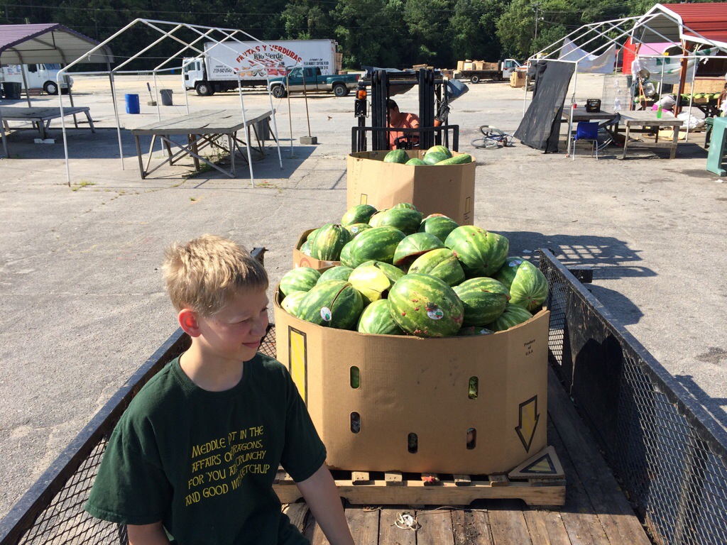 Loading watermelons for our cows