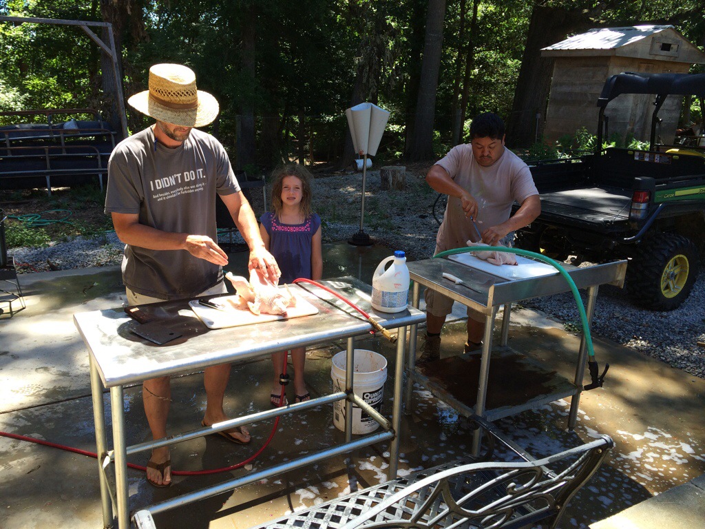 An overview of the process. Chicken butchering on farm.