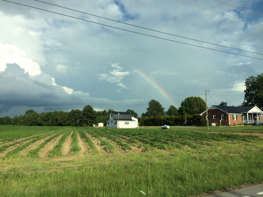 Rainbow over a farmers field. 