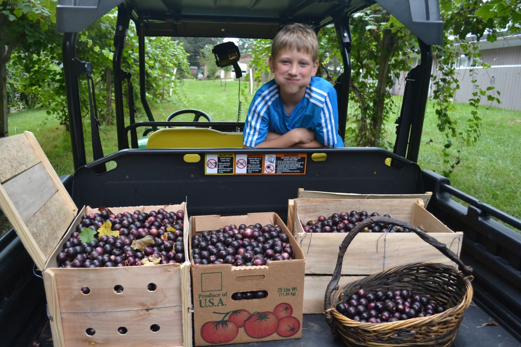 Spork and our haul of grapes. At least what was left after everyone snacked.