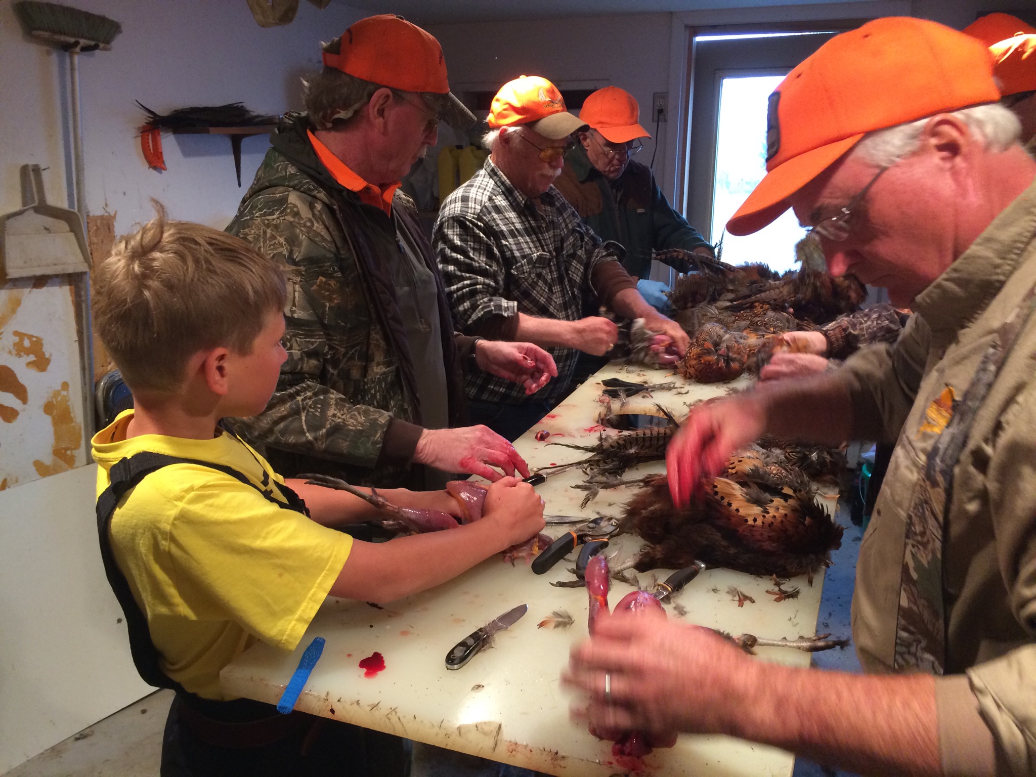 Cleaning the days pheasants with our hunting friends Mike, Jim, Bob, and Ray pictured.