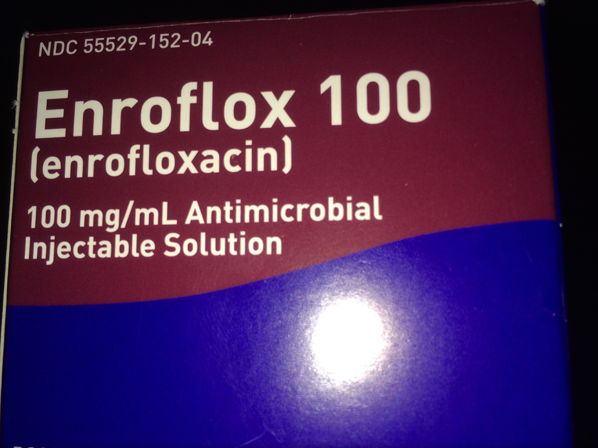 Enroflox 100 antimicrobial from Summit Equine in Apex