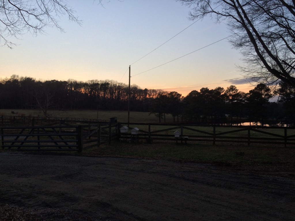 Sunset at the farm