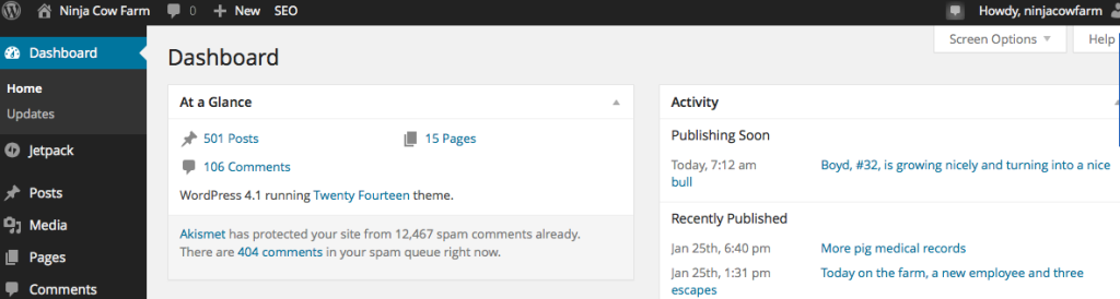 Screenshot of WordPress admin page