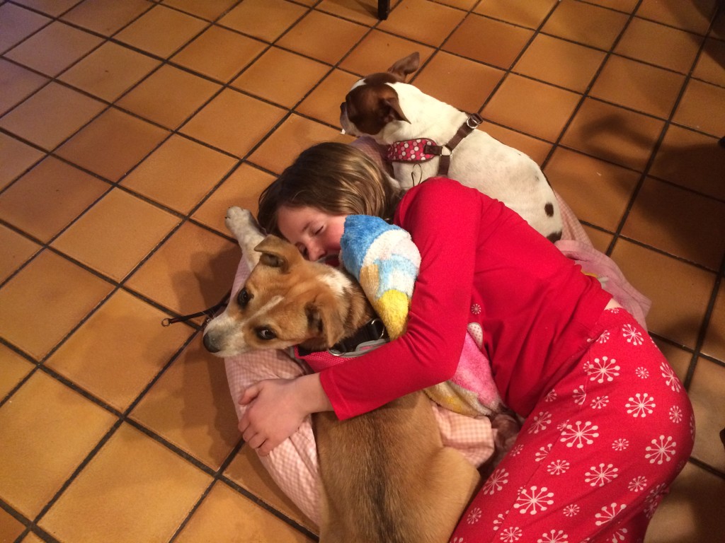 Girl sleeping with two dogs