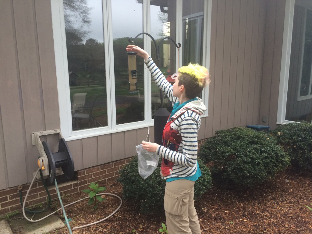 Julia capturing a live wasp