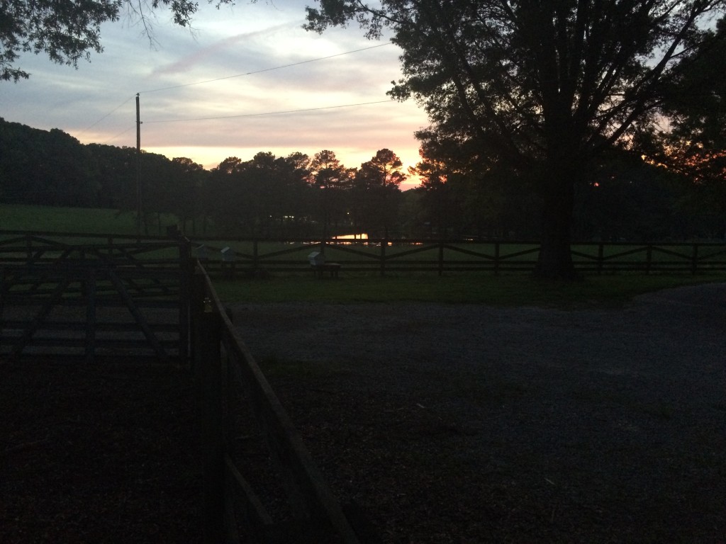 Late into the sunset, the view from our barn