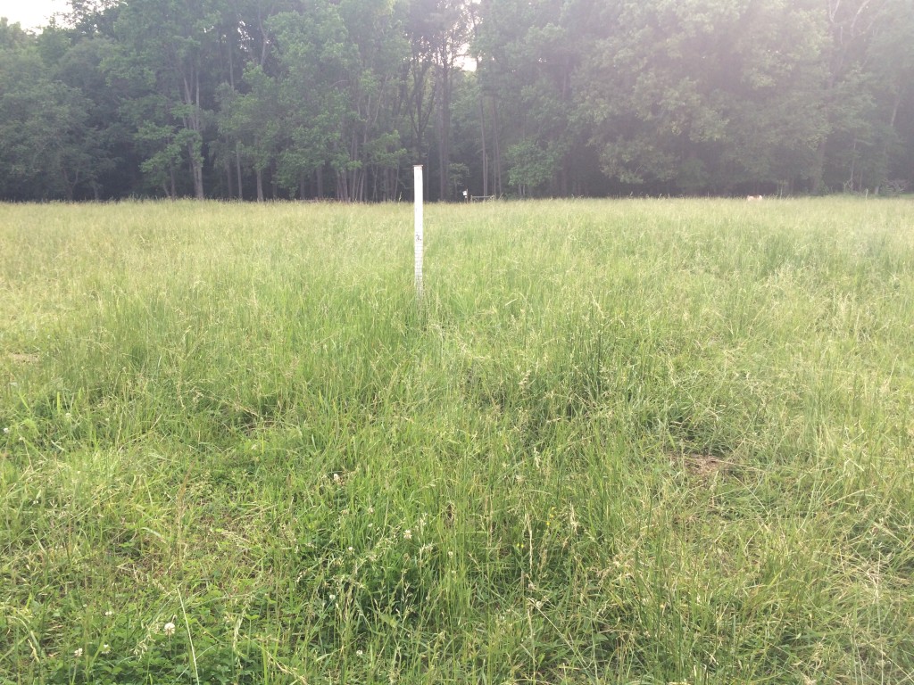 Grazing measurement stick and grass