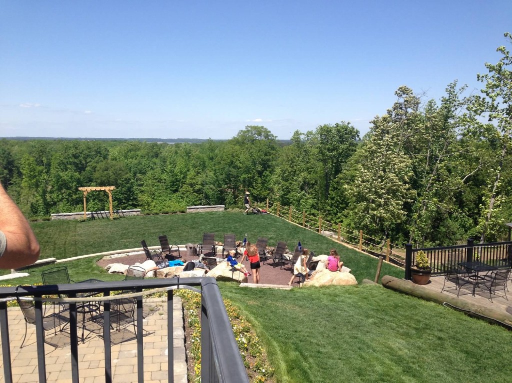 The view from one wineries rooftop deck. 