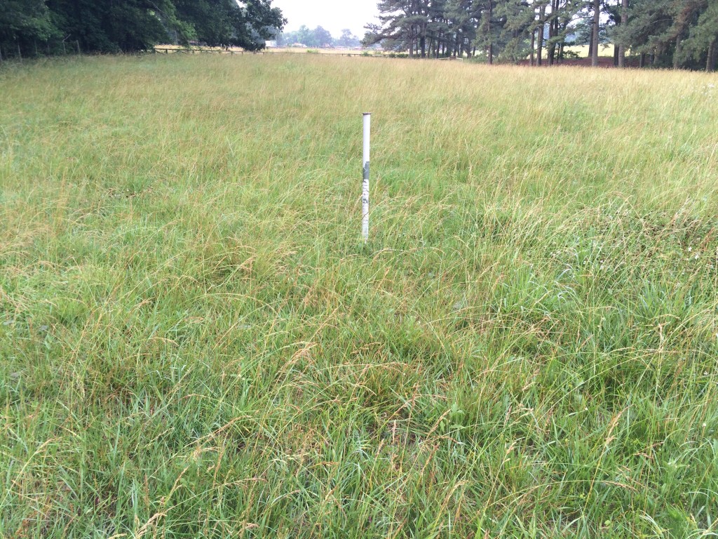 NRCS grazing stake