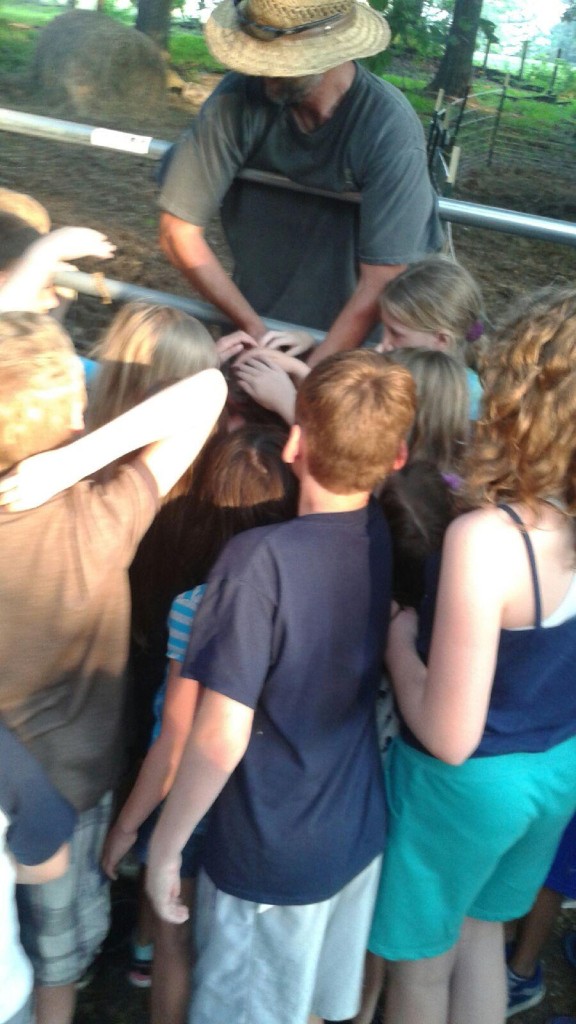 Kids petting a baby pig