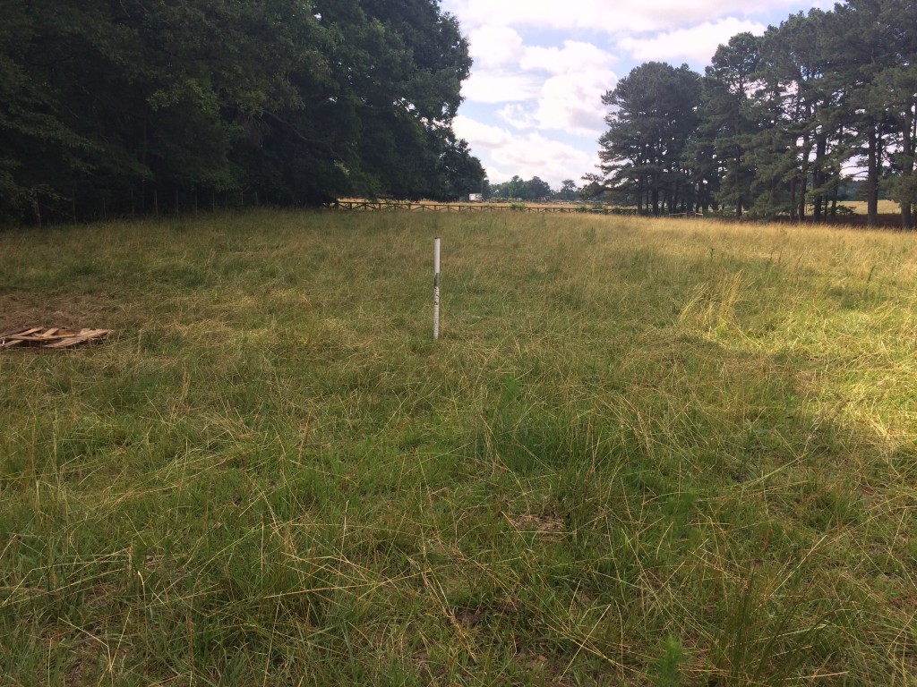 NRCS stake, post grazing