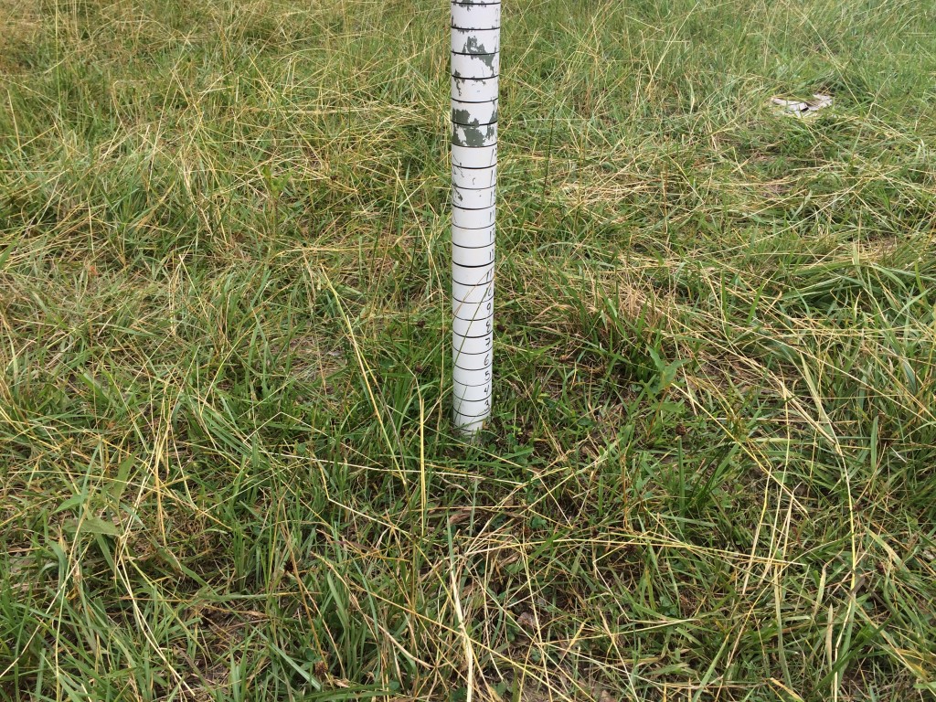 Post grazing, NRCS stake