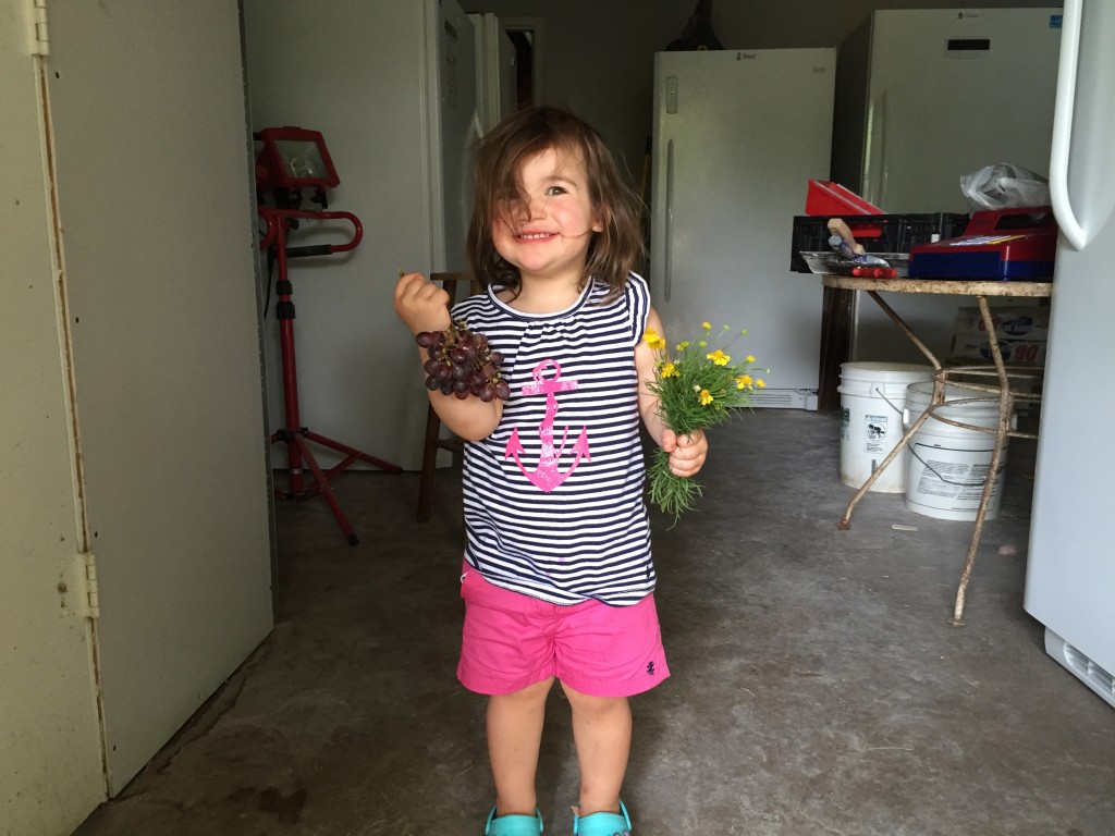 Cute girl on the farm