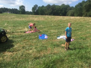 Kids having a picnic in the pasture