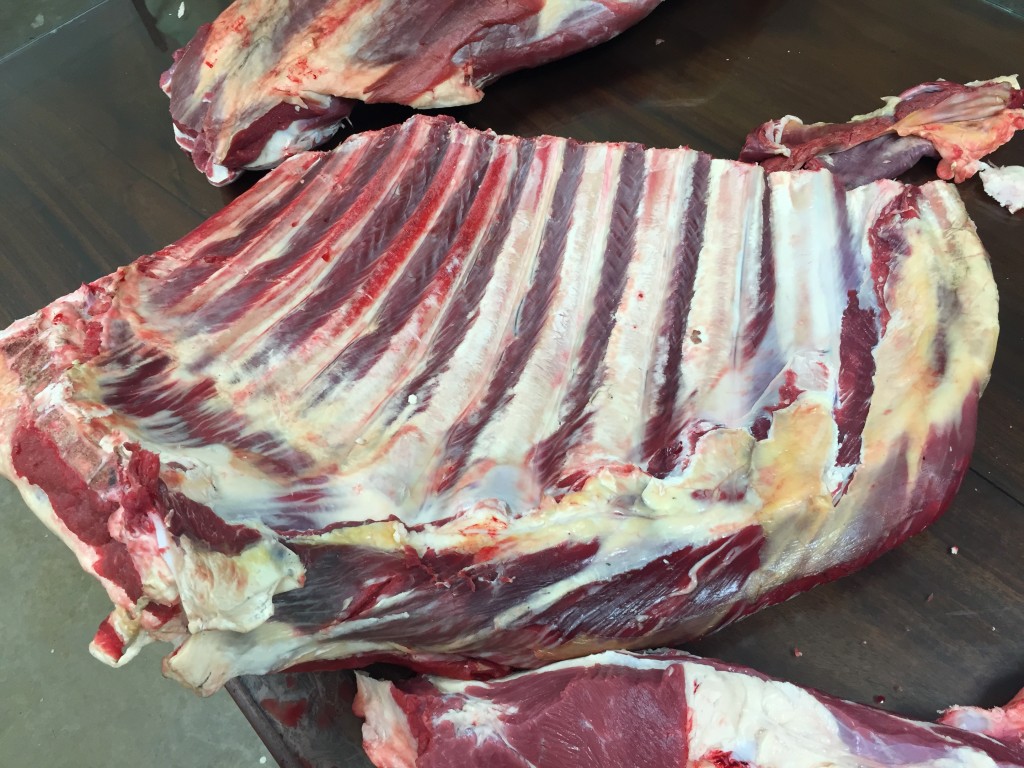 Cow being butchered, front quarter