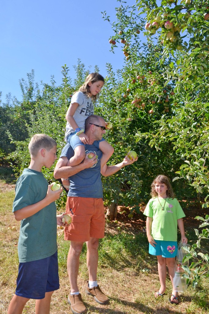 Family picking apples