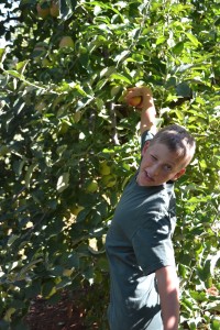 Buy picking apples.