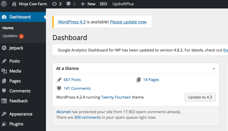 WordPress dashboard screen shot