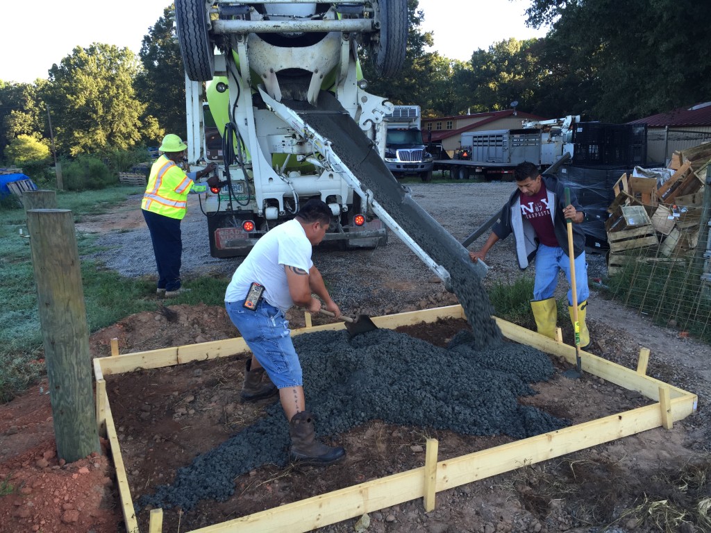 Spreading concrete for our new cattle treatment area