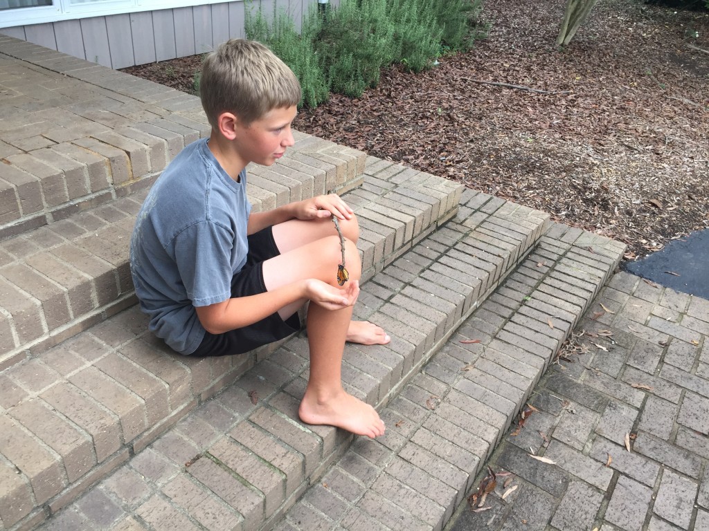 Kid waiting on a butterfly