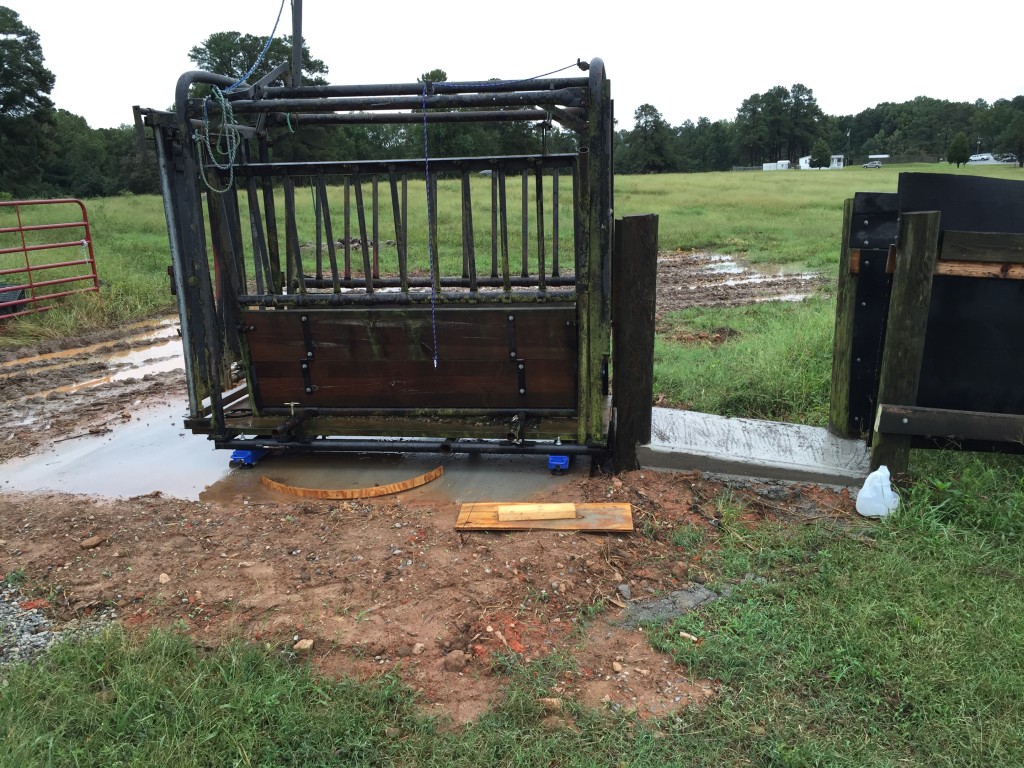 The new loading ramp area with the head gate