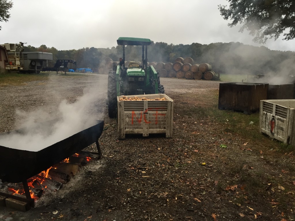 Cooking potatoes in our scald pot