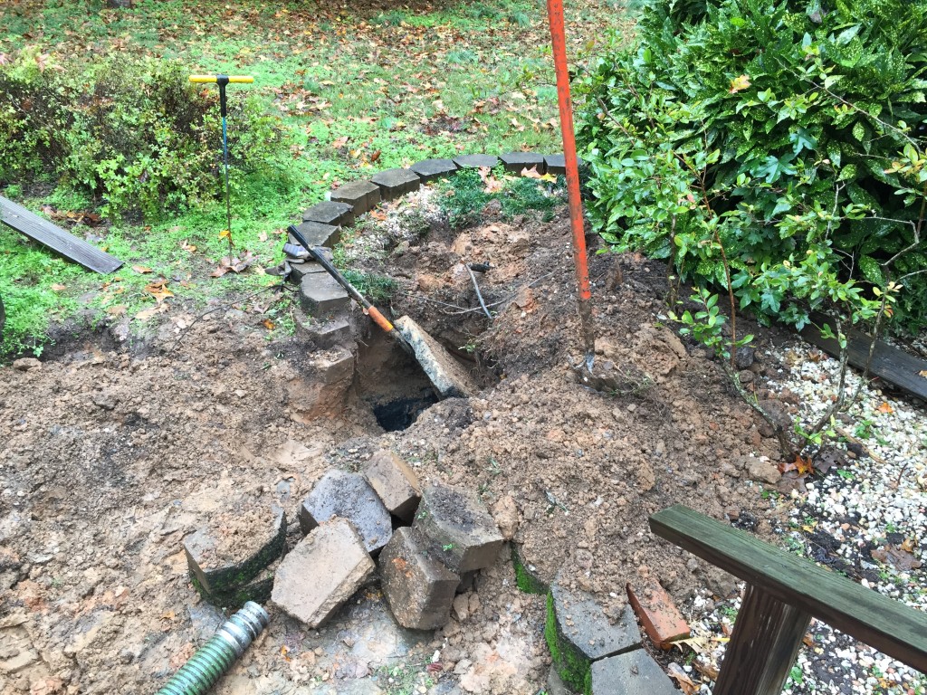 Septic tank cleanout