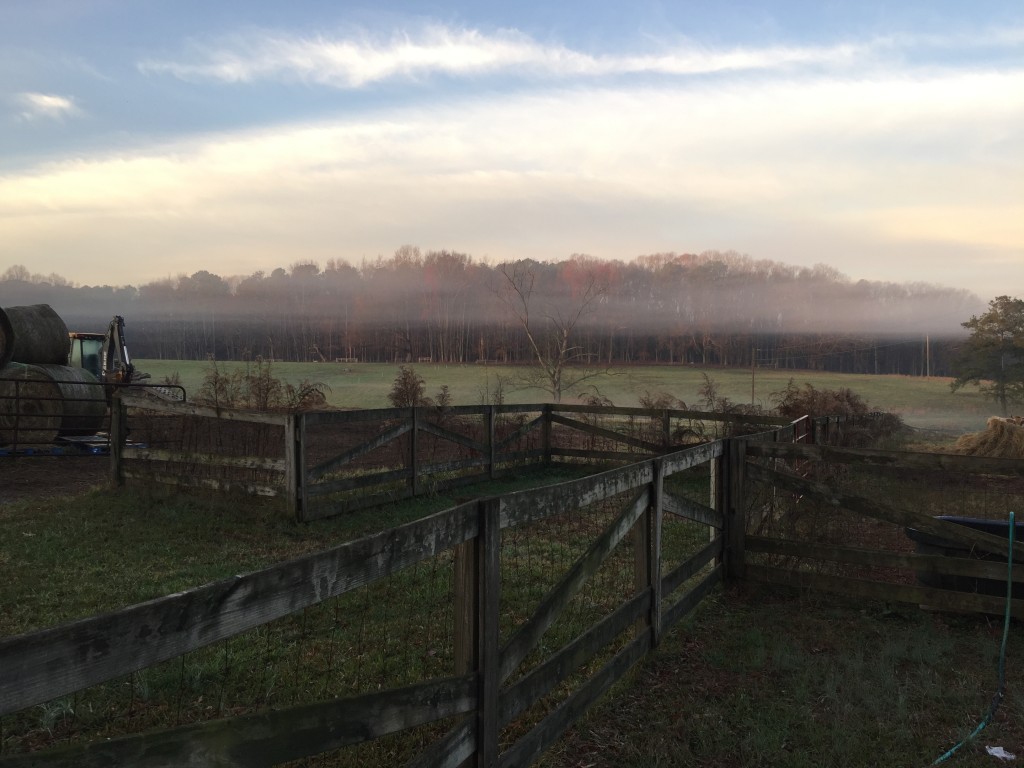 Fog layer over a green farm field.