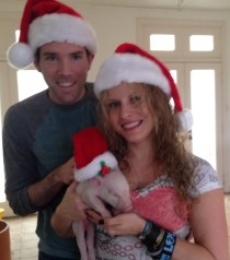 Couple in santa hats with piglet