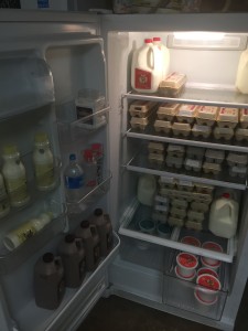 Fridge full of dairy and eggs