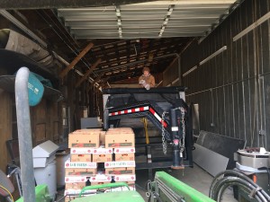 Kid standing in top of trailer on farm