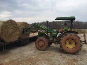 Boy loading hay with a tractor