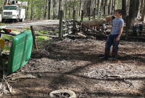 Boy standing in pig pen with overturned tractor