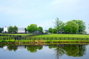 Beautiful view of a horse farm