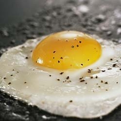 Fried duck egg