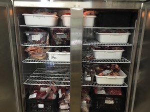 Freezer full of beef