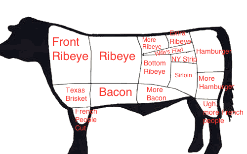 What part does the ribeye come from