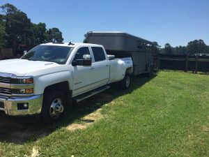 Truck and stock trailer, at the loading ramp ready to go.