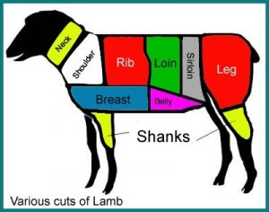 Lamb cuts diagram