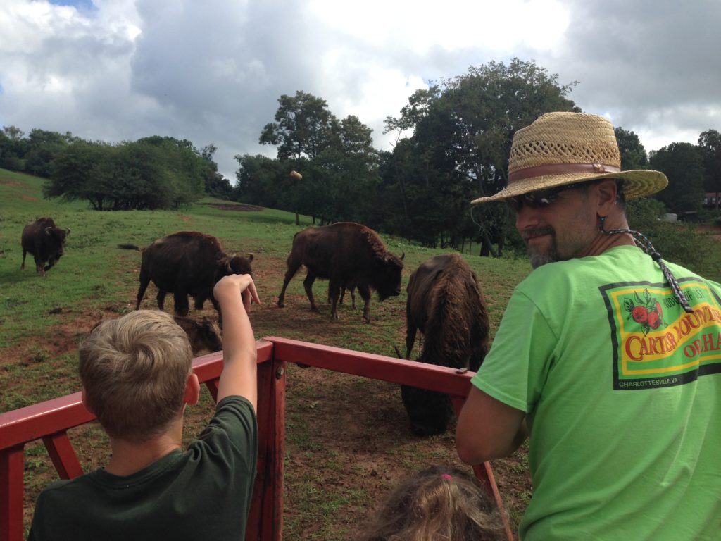 Standing in the hay wagon with Spork, looking at bison