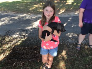 Little girl holding a piglet