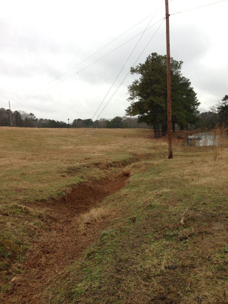 Eroded ditch in pasture